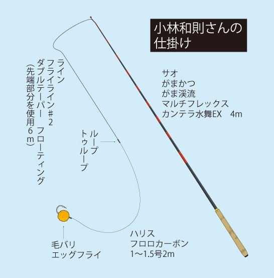 テンカラ 変更グラス 必須 ショップ